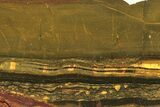 Polished Packsaddle Tiger Eye Slab - Western Australia #278170-1